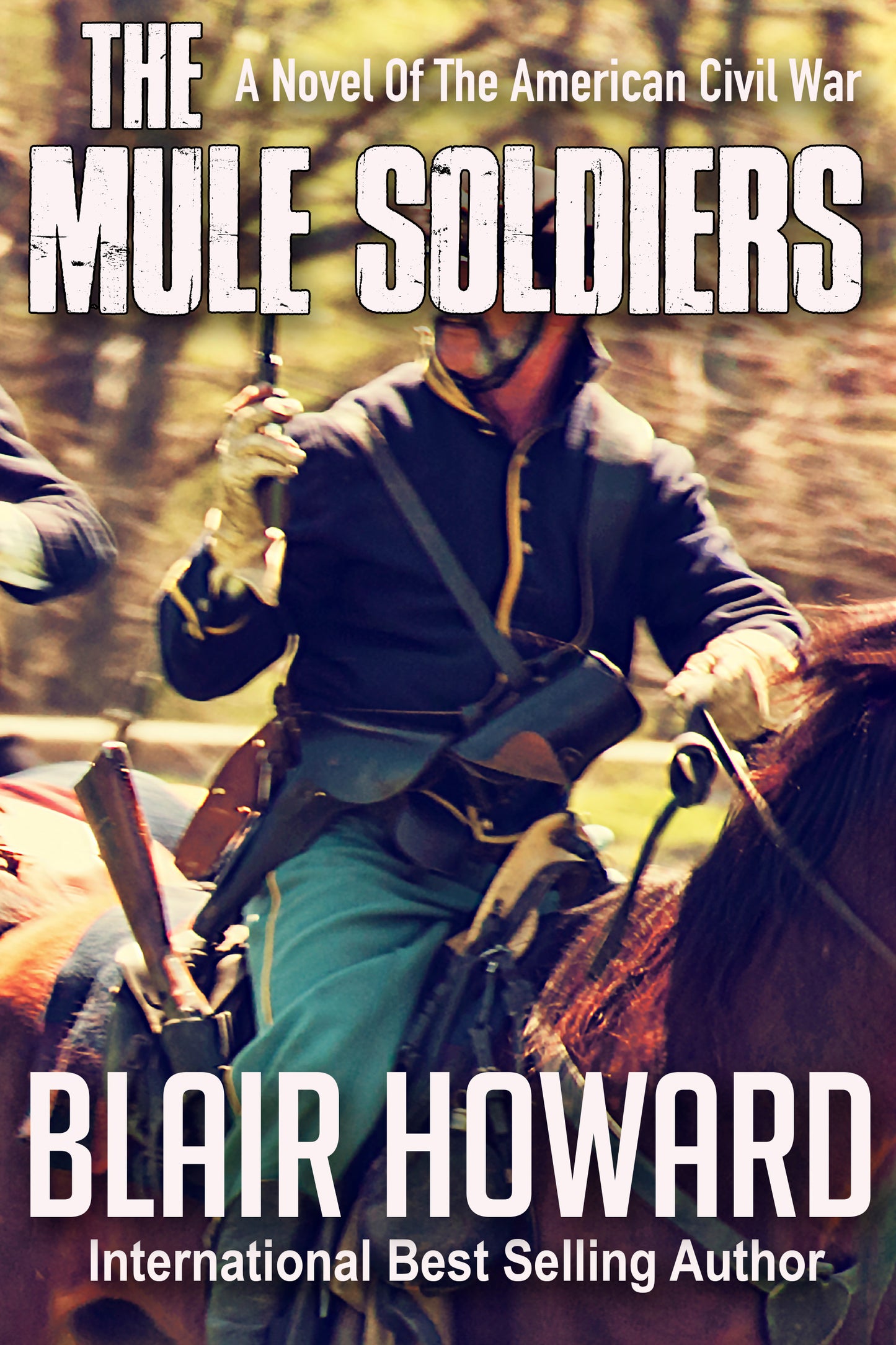 The Mule Soldiers eBook: A Novel of the American Civil War (The O'Sullivan Chronicles Book 1)
