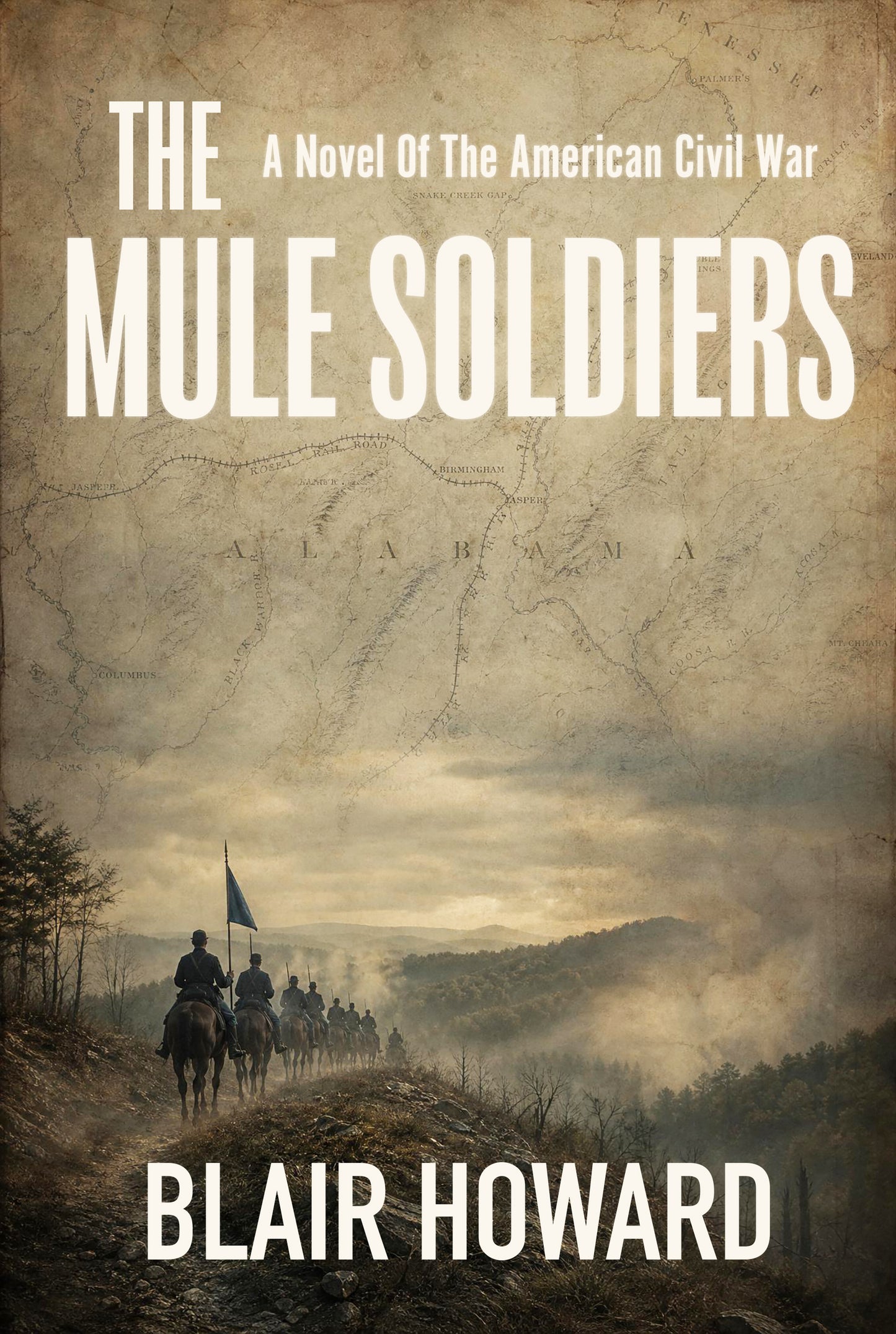 The Mule Soldiers: A Novel of the American Civil War